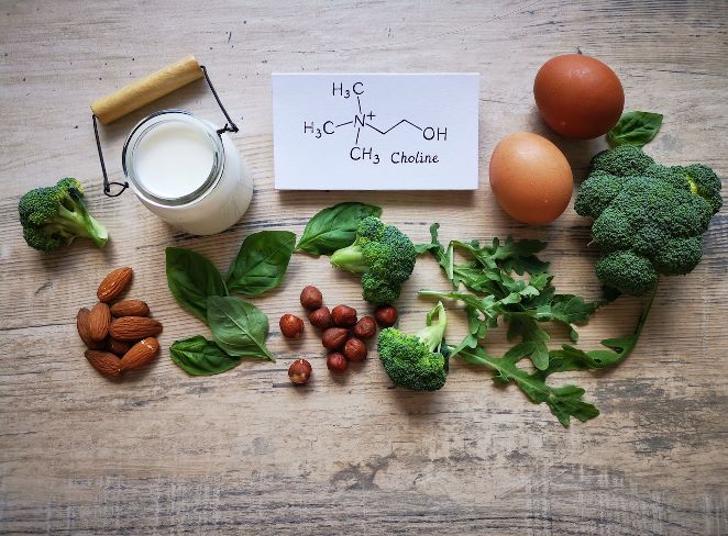 What is choline